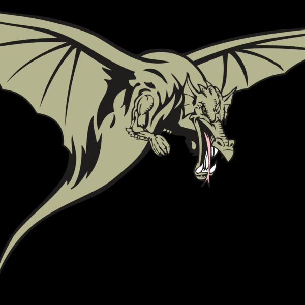 BAW DRAGON 12 RC Thumbnail