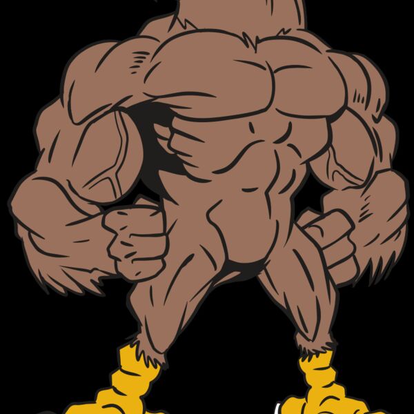 AR13 FALCON 01 RQC Thumbnail