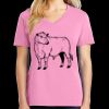 Women's Core Cotton V Neck Tee Thumbnail