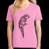 Women's Core Cotton V Neck Tee Thumbnail