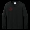 Youth Long Sleeve Core Cotton Tee Thumbnail